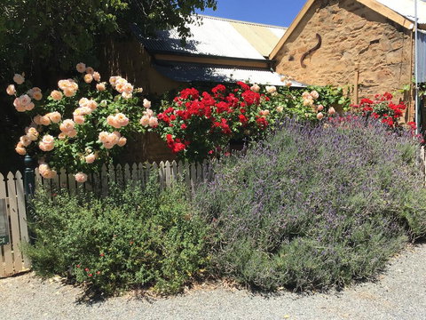 The Olde Devonshire House - Bet 4u 2