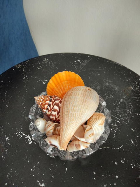 THE QUEENSLANDER MOTEL - Bet 4u 3