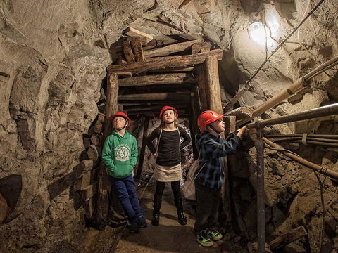 The Robin Hood Inn - Click Find 2