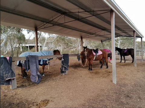 The Saddle Camp Tiny House, Braidwood - Bet 4u 1