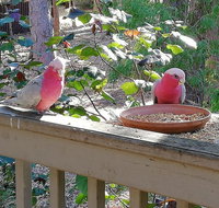 The Treehouse In Dawesville - Lawyer Find