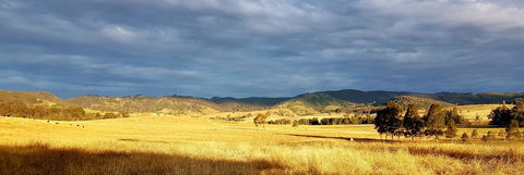 The Wattle Lodge - DBD 1
