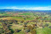 Timberline Park High Country Farmstay