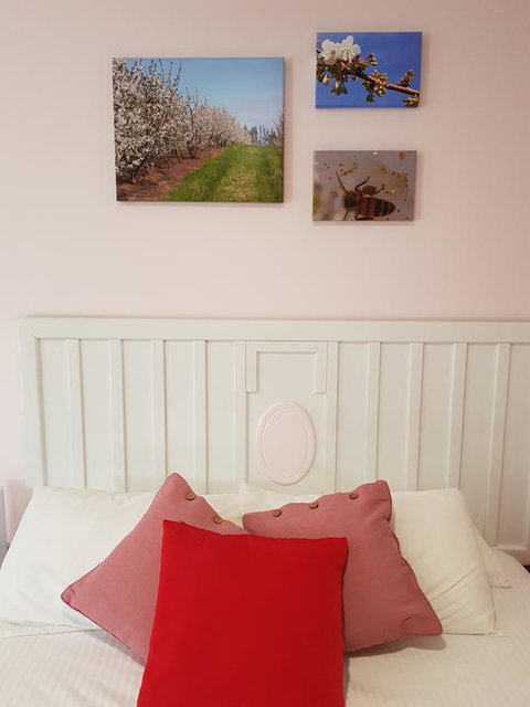 Town House Motor Inn Young - Click Find 1