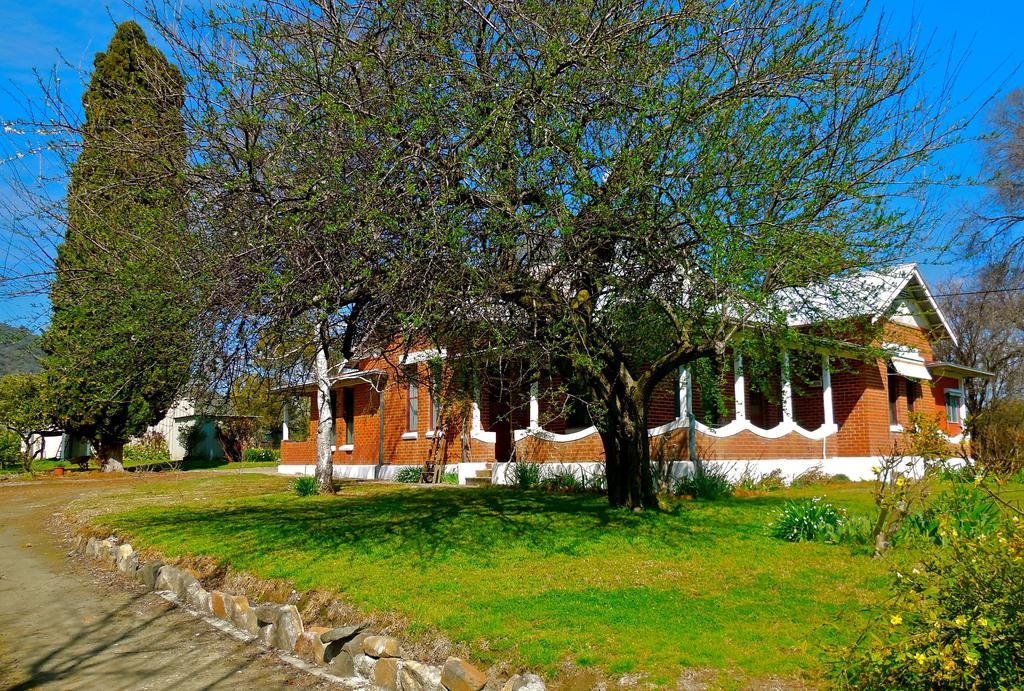 Grahamstown NSW Bet 4u