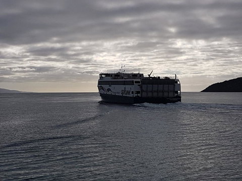 Trading Places Kangaroo Island - Bet 4u 3