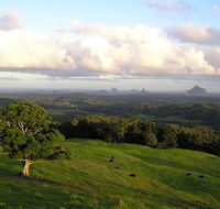 Tranquil Park - Bridge Guide