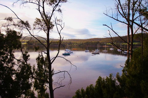 Tranquil Point - Click Find 0