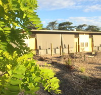 Tread Harcourt - Bet 4u