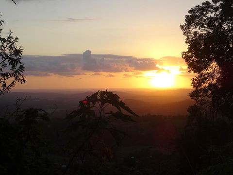 Treetops Montville - Click Find 3