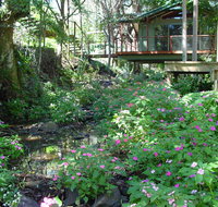 Treetops Montville - Clickz