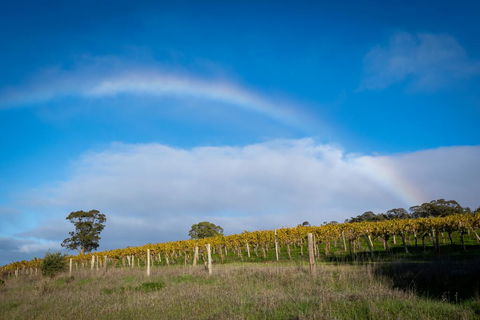 Triple Creek Guest House - Barossa Region - Click Find 2