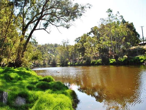 Tweed Valley Lodge - DBD 1