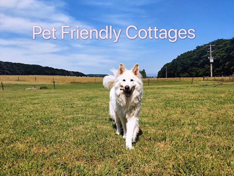 Twelve Apostles Motel & Country Retreat - Local Finder 2