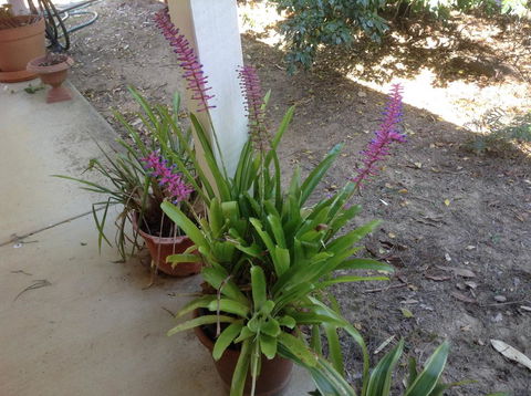 Twilight Grove Farm - Bridge Guide 2