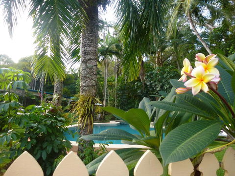 Villa Marine Holiday Apartments Cairns - Bet 4u 1