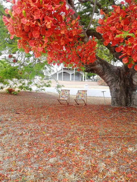 Walk To Beach Queenslander HOME In CBD Hervey Bay - Bet 4u 3