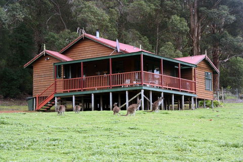 Walpole Wilderness Resort - DBD 1