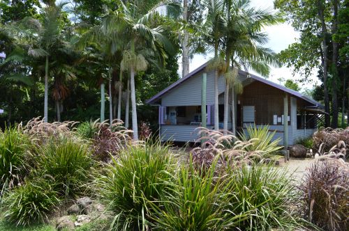 Restaurants Wongaling Beach QLD Clickz