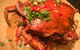 Wharf One Food & Wine - thumb 0