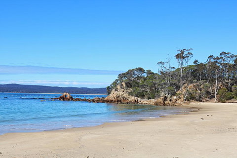 Whale Cove Circuit - Bridge Guide 1