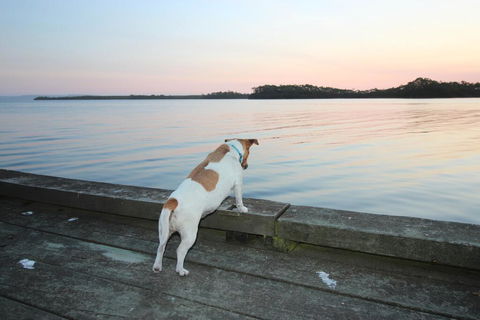 Wheelhouse Apartments - Click Find 2