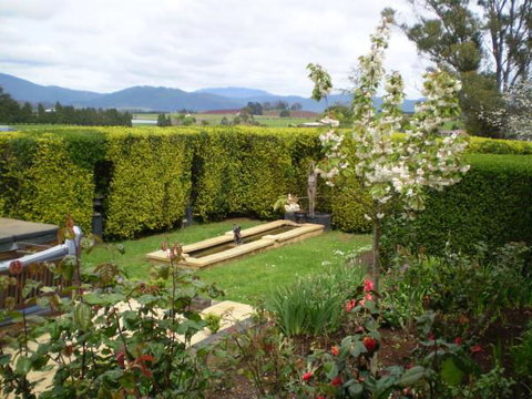 Willowlodge - Bet 4u 2