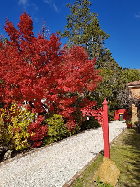 Winston Cottage At Three Sisters - Bet 4u 1