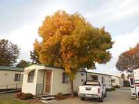 Wodonga Caravan Cabin Park