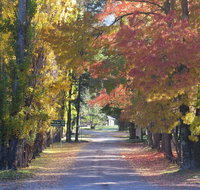 Wombeyan Caves - Bet 4u
