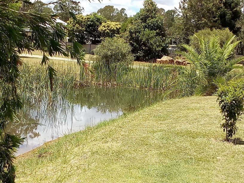 Greenview QLD Click Find