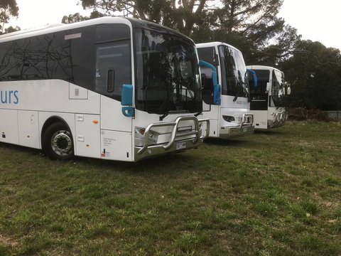 Woodmans Hill Motel - Bet 4u 3