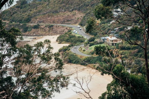 WYE UP - Through The Treetops. Out To The Sea. - Bet 4u 2