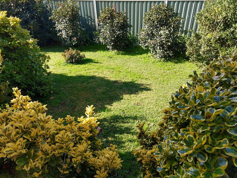 Young Goldrush Motel - Bet 4u 3