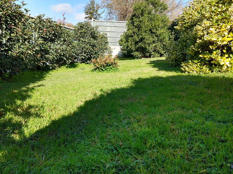 Young Goldrush Motel - Bet 4u 2