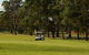 Tanilba Bay Golf Club - thumb 0