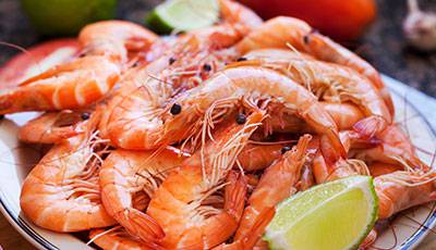 Mooloolaba Fisheries On The Spit - Bet 4u 3