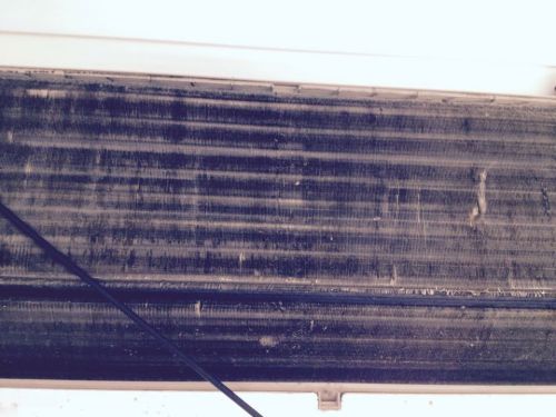 Solar Panel Cleaning Maintenance Bundaberg QLD Click Find