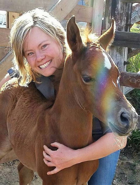 Grafton Veterinary Clinic - Bridge Guide 2