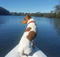 Australis Canoes  Kayaks - Click Find