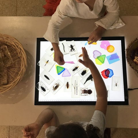 Kindisaurus Child Care Centre - Lawyer Find 0