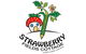Strawberry Fields Cottage Child Care Centre - thumb 0