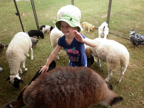 Eastside Little Learners Child Care Centre - Click Find 1