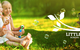 Little Scholars School Of Early Learning Yatala - thumb 1