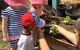 Five Star Family Day Care - thumb 3