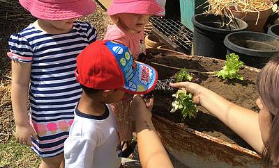 Five Star Family Day Care - Click Find 3