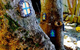 3 Bears Cottage - thumb 1