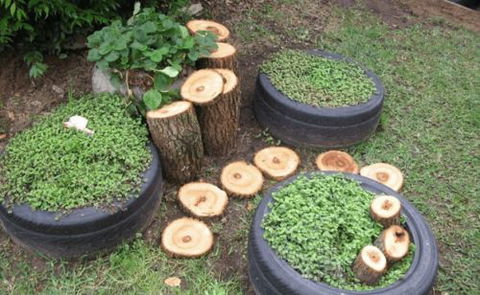 Honeybee Preschool - Click Find 1