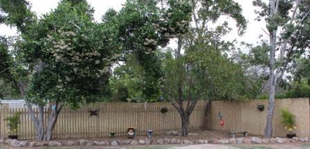 Jensen Early Learning Centre - Bet 4u 1