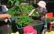 Noosaville Child Care & Preschool Centre - thumb 2